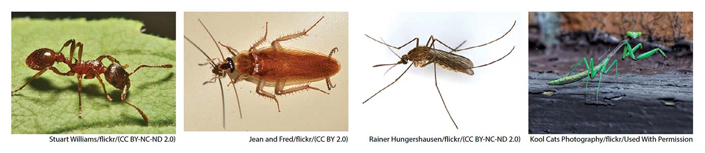 Day 1 [Week 14] [3 – 5 Years] – Purdue ELM