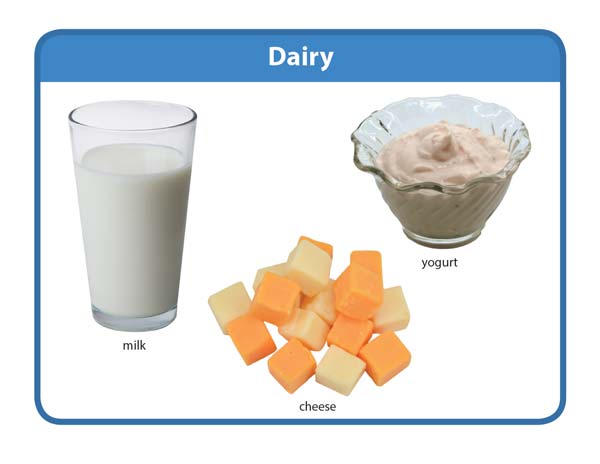 Dairy food group