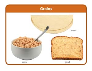 Grains food group