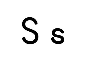 Large Letter S Card