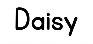 Daisy Card