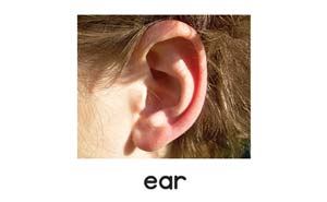 ear picture card