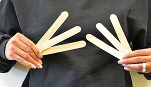 Groups of Craft Sticks