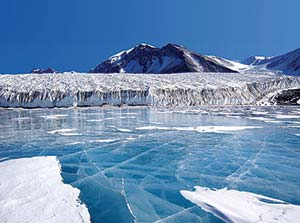 A glacier region habitat