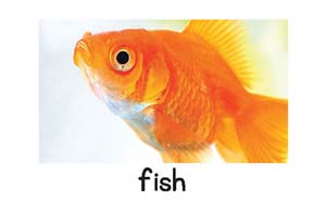 fish letter picture card