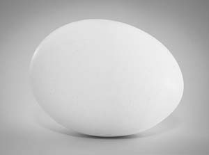 egg