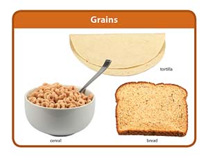 Grains Food Groups