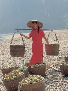 Woman carrying baskets with a yoke