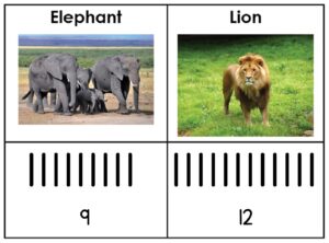 Elephant Lion Chart Mockup