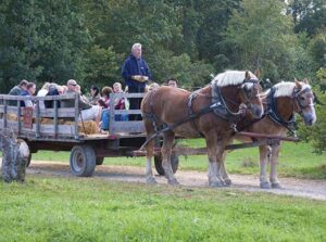 horses pulling a wagon