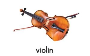 violin