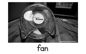 fan