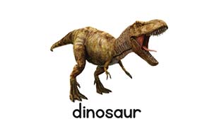 Dinosoar Picture Card