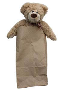 bear in a bag