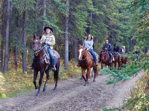 horses on trail