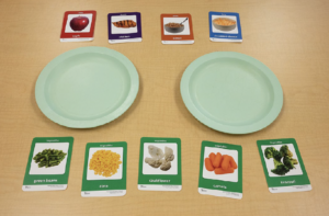 Photo showing how to lay food cards and plates out for food game.