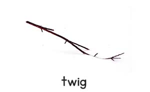 Twig picture card