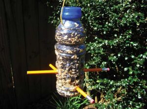 recycled bottle as bird feeder