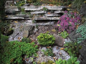 Picture of a rock garden