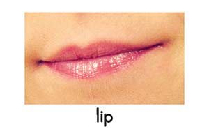 lip