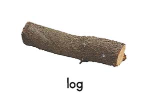 log