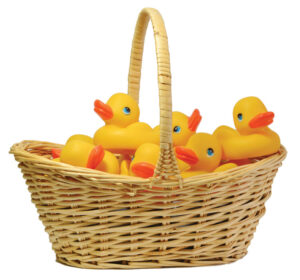 basket of ducks