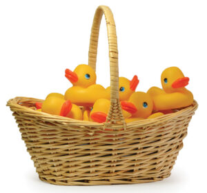 basket of rubber ducks