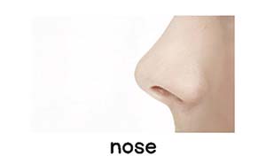 nose picture card