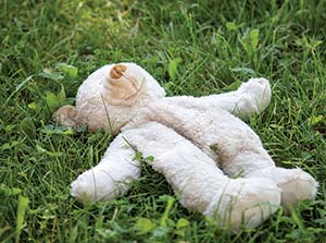 Picture of a lost teddy bear