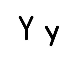 Letter Y