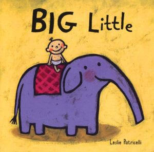 Big Little book cover