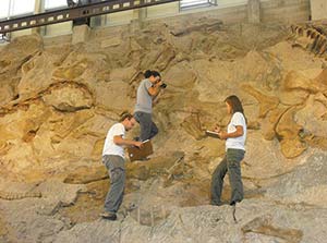 Dinosaur dig site