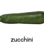 Zucchini