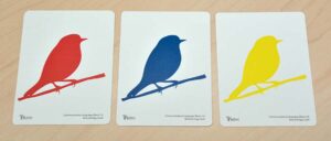 bird cards in red, blue, and yellow lined up