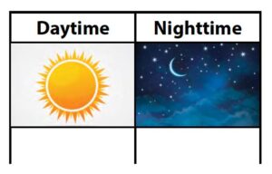 Daytime nighttime